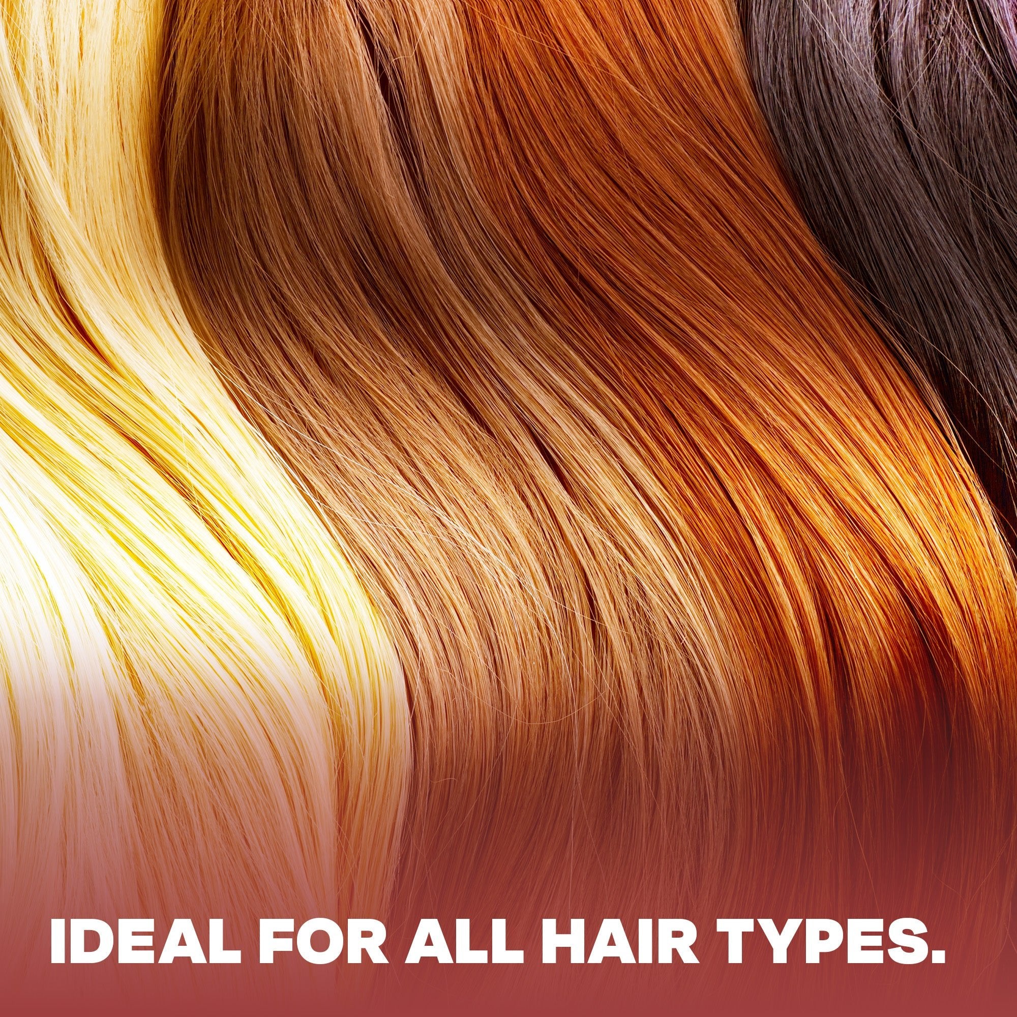 2" Ion Ceramic Round Brush TheSalonGuy - TheSalonGuy